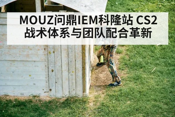 CS2 tactical gameplay