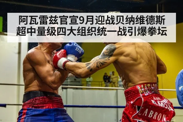 boxing fight action