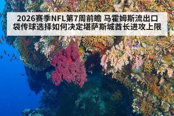 2026赛季NFL第7周前瞻 马霍姆斯流出口袋传球选择如何决定堪萨斯城酋长进攻上限